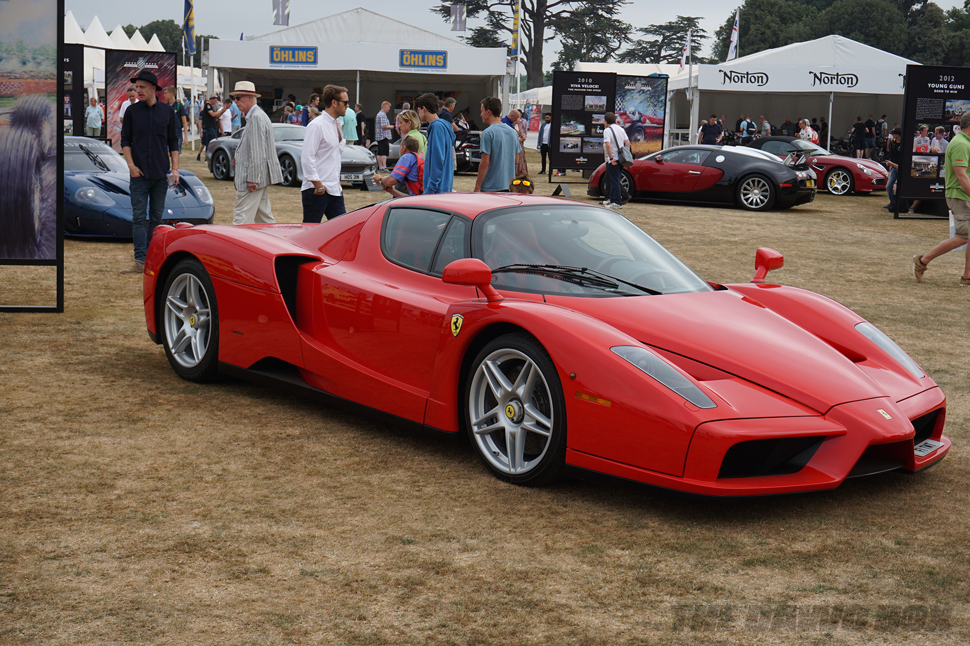Goodwood FOS, Ferrari Enzo