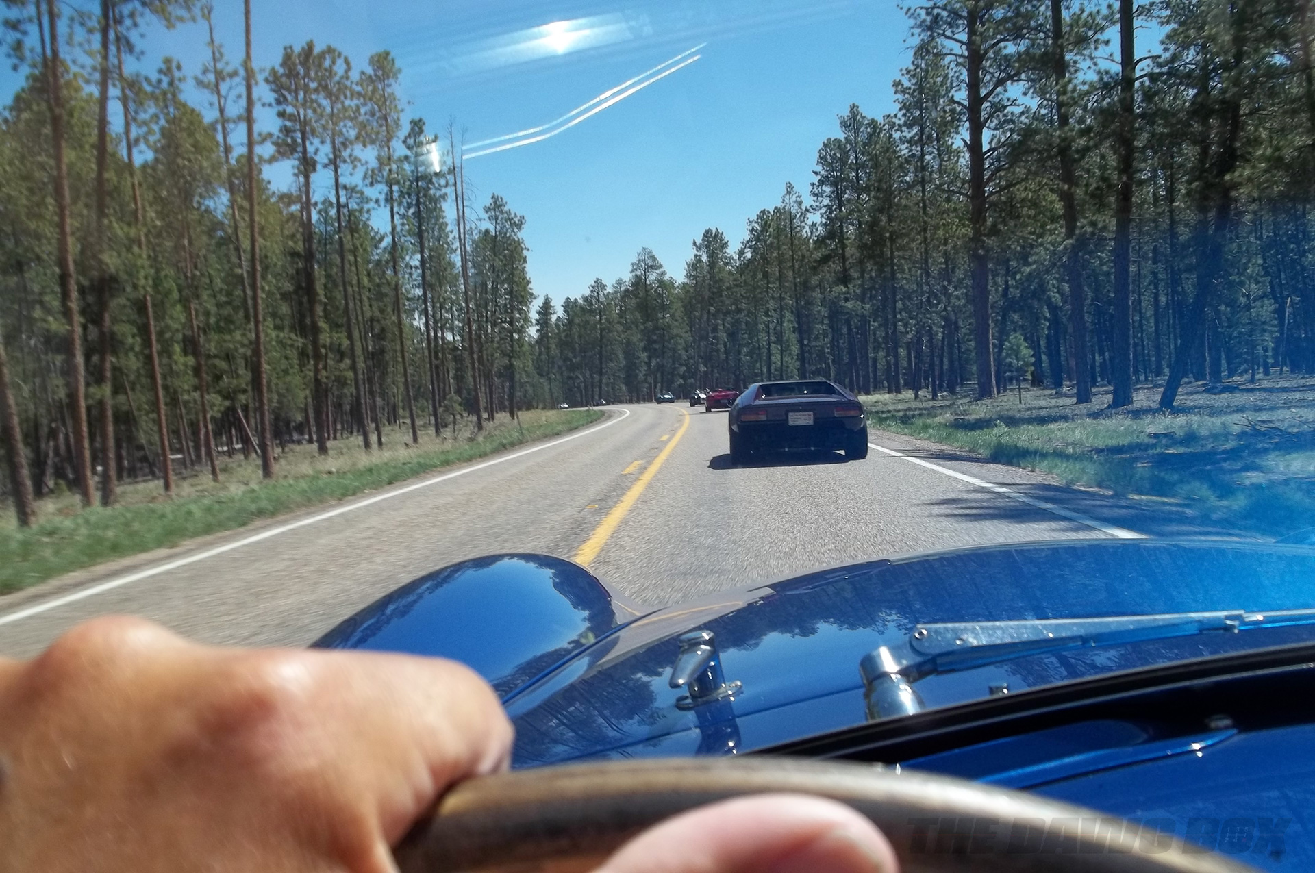 drivers point of view driving through a forest in Henry Astor’s ’32 Ford Roadster